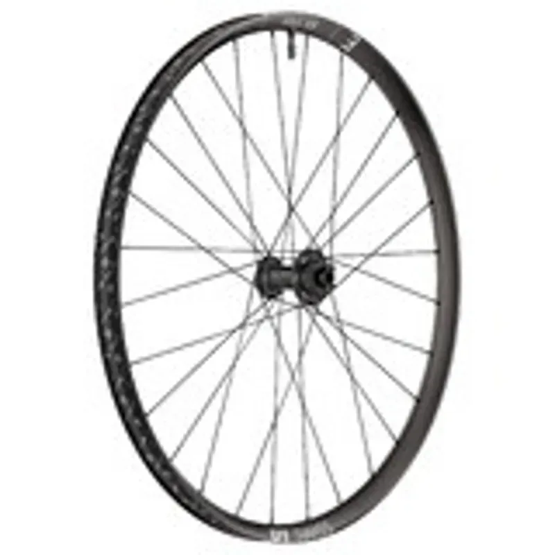 DT Swiss EX 1700 Classic 29in 15x110 Front Wheel in Black