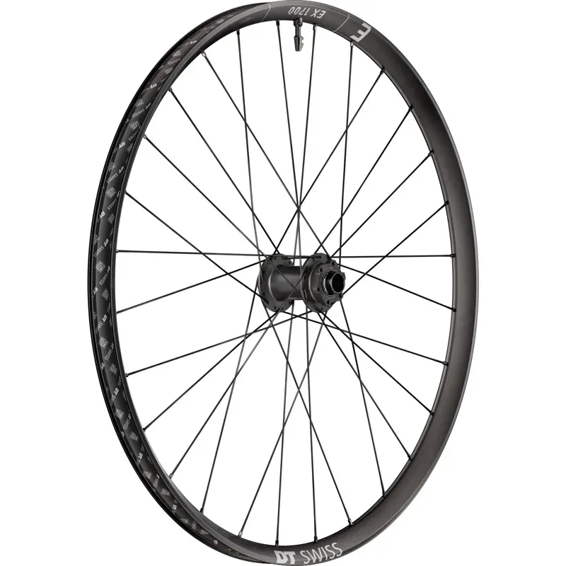 DT Swiss EX 1700 29in 30mm Boost 20x110mm Front Wheel in Black