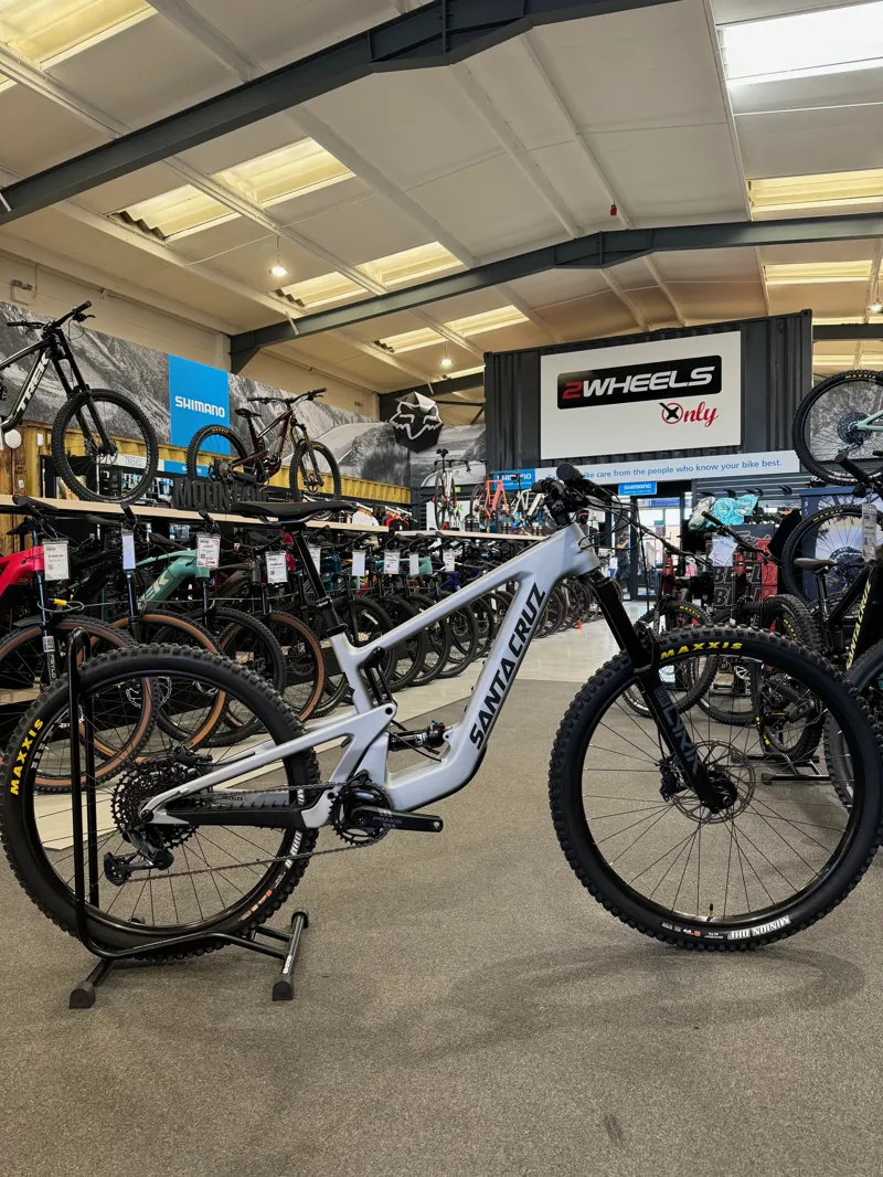 Santa Cruz Heckler SL C R Silver-1