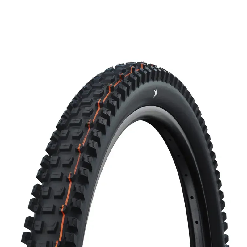 Schwalbe Radial Albert Gravity Pro 