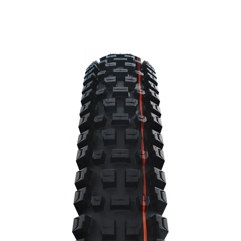 Schwalbe Radial Albert Gravity Pro -1