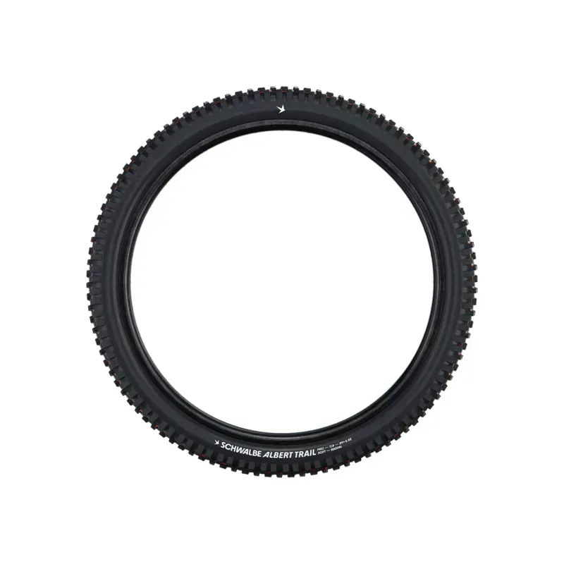 Schwalbe Radial Albert Gravity Pro -2